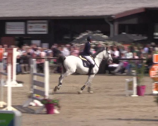 Reitturnier Havixbeck 2019