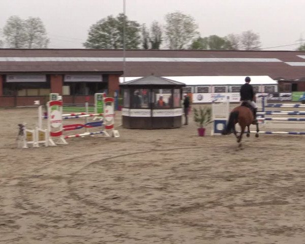 Reitturnier Havixbeck 2019