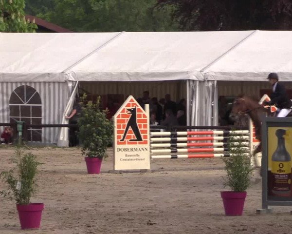 Reitturnier Havixbeck 2019