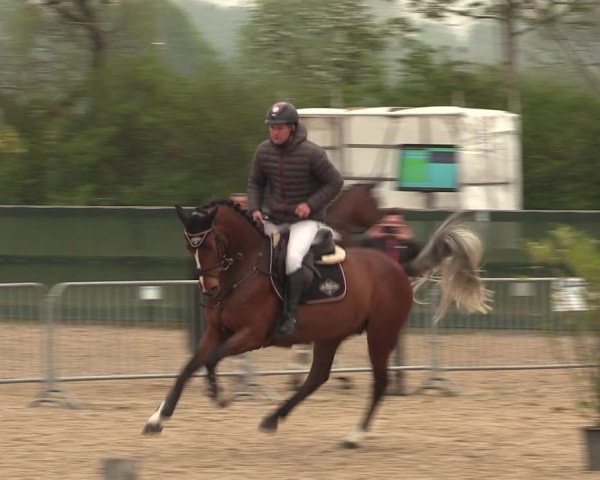 Reitturnier Langwedel - Hagen - Grinden 2019