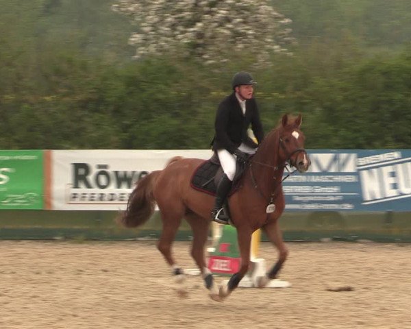 Reitturnier Langwedel - Hagen - Grinden 2019