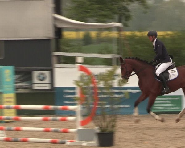 Reitturnier Langwedel - Hagen - Grinden 2019
