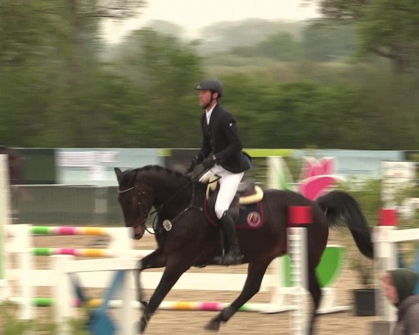 Reitturnier Langwedel - Hagen - Grinden 2019