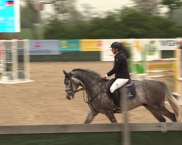 Reitturnier Langwedel - Hagen - Grinden 2019