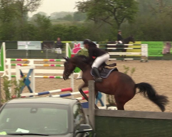 Reitturnier Langwedel - Hagen - Grinden 2019
