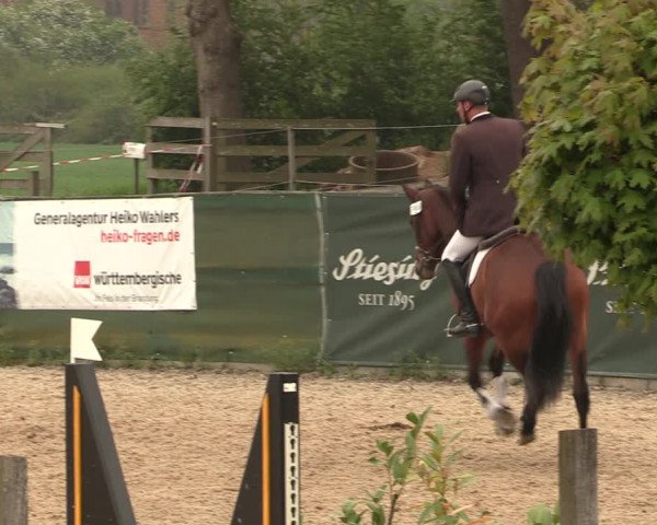 Reitturnier Langwedel - Hagen - Grinden 2019