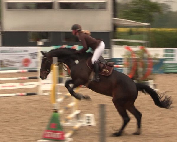 Reitturnier Langwedel - Hagen - Grinden 2019