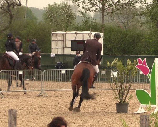Reitturnier Langwedel - Hagen - Grinden 2019