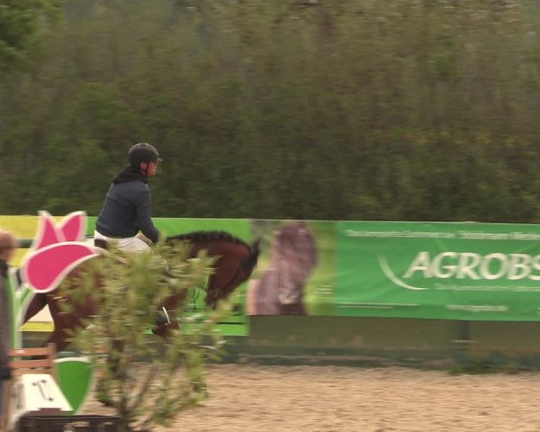 Reitturnier Langwedel - Hagen - Grinden 2019