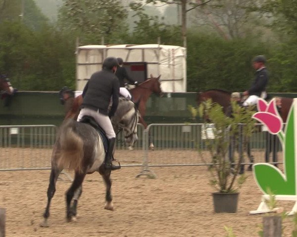Reitturnier Langwedel - Hagen - Grinden 2019