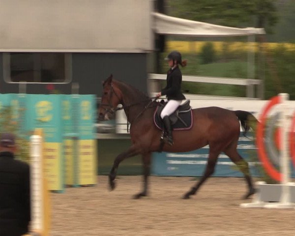 Reitturnier Langwedel - Hagen - Grinden 2019