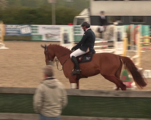 Reitturnier Langwedel - Hagen - Grinden 2019