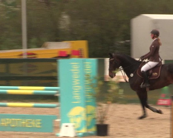 Reitturnier Langwedel - Hagen - Grinden 2019