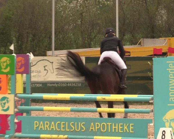 Reitturnier Langwedel - Hagen - Grinden 2019