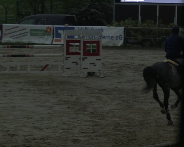 Reitturnier Kamen 2019
