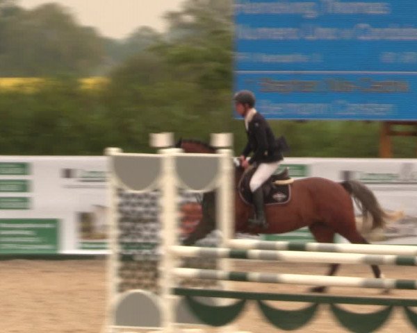Reitturnier Langwedel - Hagen - Grinden 2019