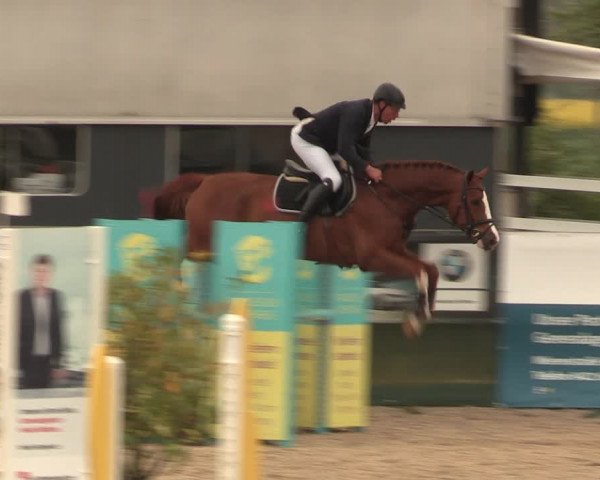 Reitturnier Langwedel - Hagen - Grinden 2019