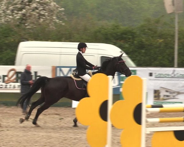 Reitturnier Langwedel - Hagen - Grinden 2019