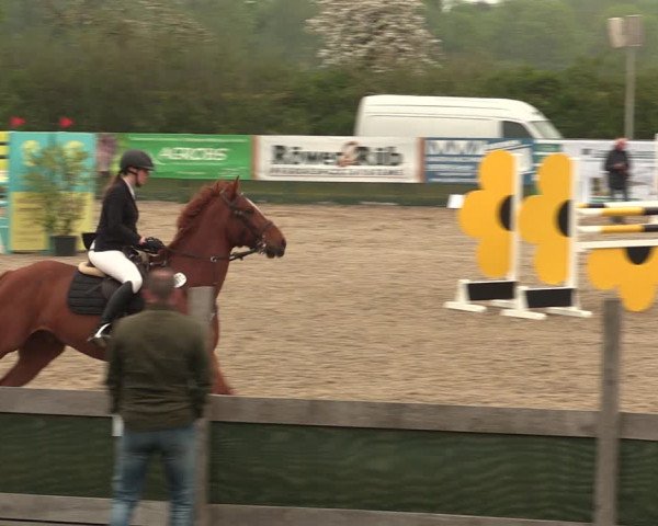 Reitturnier Langwedel - Hagen - Grinden 2019