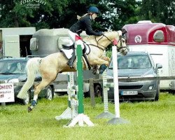 Springpferd Master Boy 9 (Deutsches Reitpony, 1986, von Made in Germany)