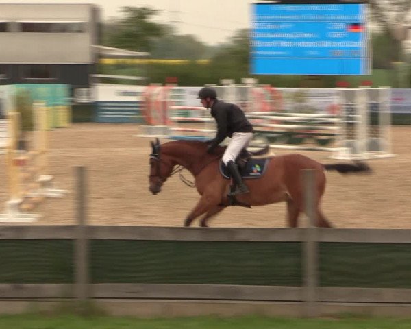 Reitturnier Langwedel - Hagen - Grinden 2019