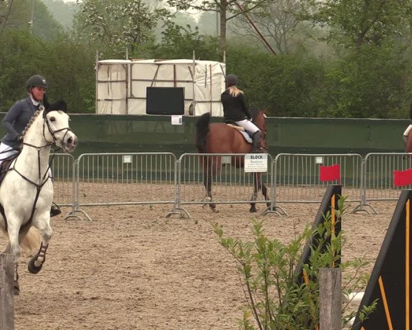 Reitturnier Langwedel - Hagen - Grinden 2019