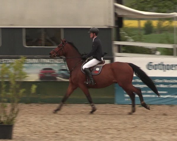 Reitturnier Langwedel - Hagen - Grinden 2019