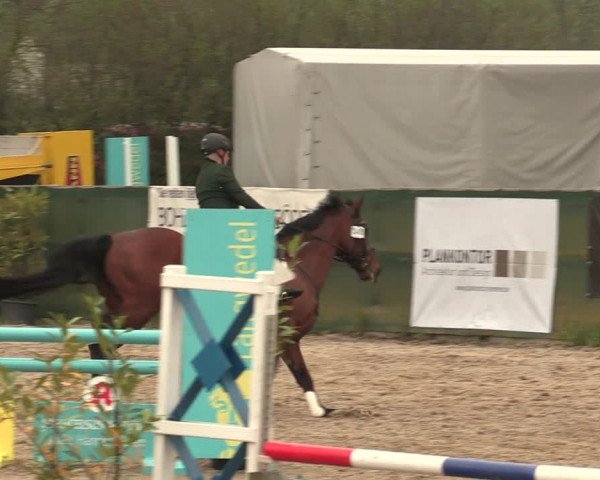 Reitturnier Langwedel - Hagen - Grinden 2019