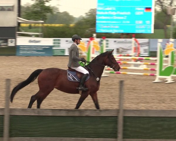 Reitturnier Langwedel - Hagen - Grinden 2019