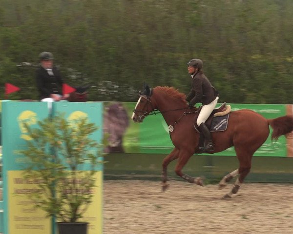 Reitturnier Langwedel - Hagen - Grinden 2019