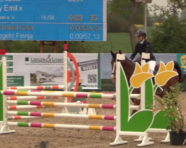 Reitturnier Langwedel - Hagen - Grinden 2019