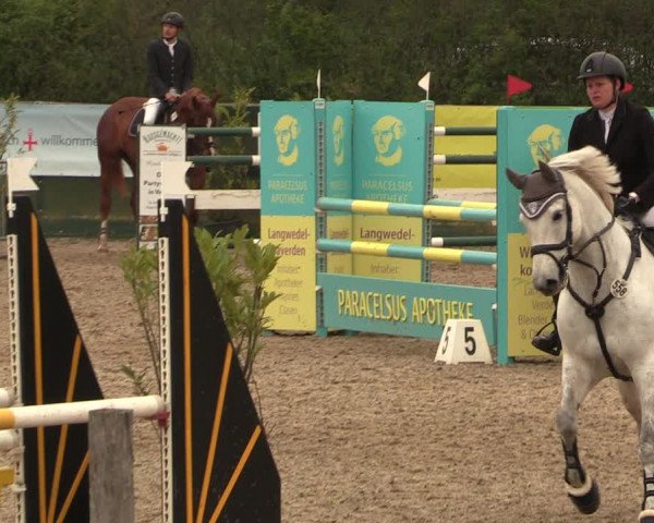 Reitturnier Langwedel - Hagen - Grinden 2019