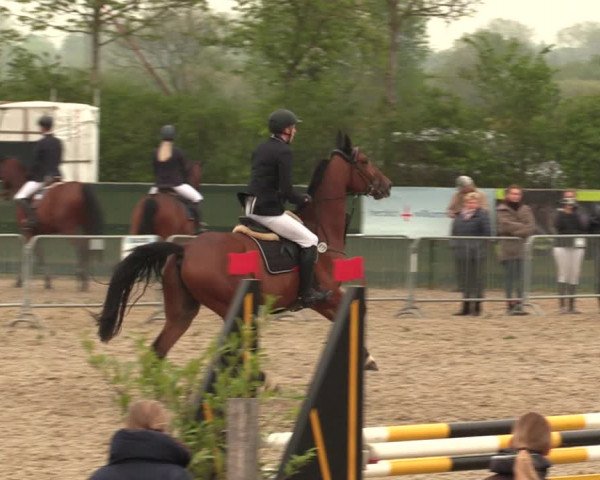 Reitturnier Langwedel - Hagen - Grinden 2019