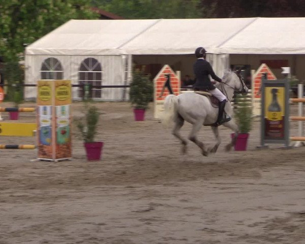 Reitturnier Havixbeck 2019