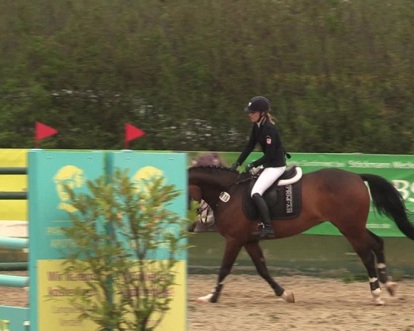 Reitturnier Langwedel - Hagen - Grinden 2019