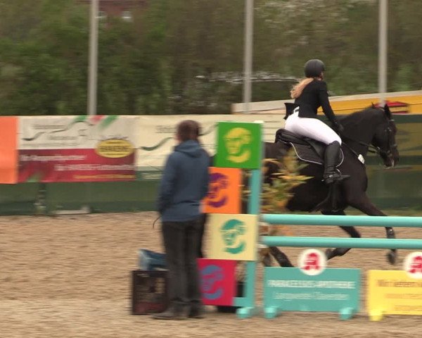Reitturnier Langwedel - Hagen - Grinden 2019
