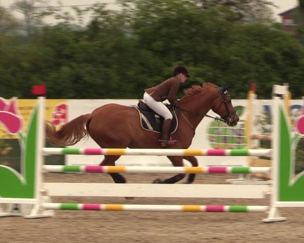 Reitturnier Langwedel - Hagen - Grinden 2019