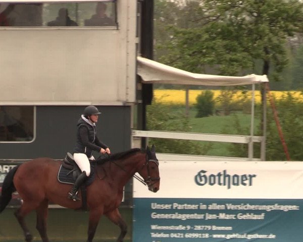 Reitturnier Langwedel - Hagen - Grinden 2019