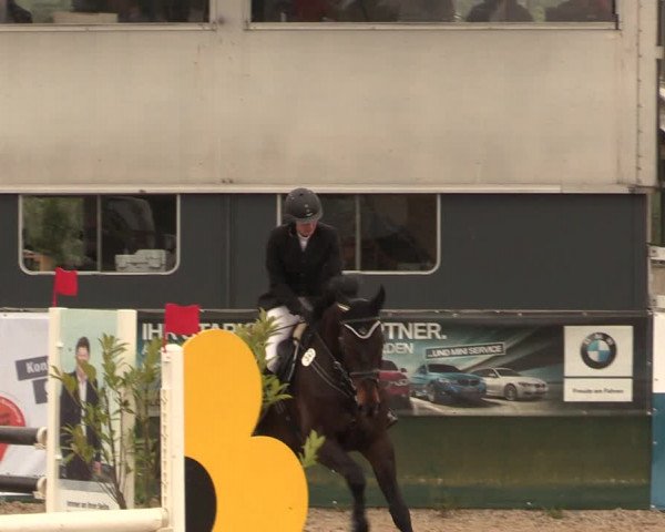 Reitturnier Langwedel - Hagen - Grinden 2019