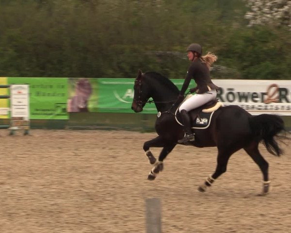 Reitturnier Langwedel - Hagen - Grinden 2019