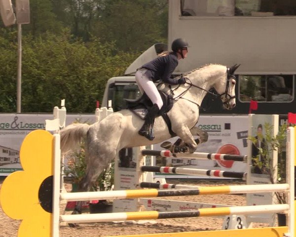 Reitturnier Langwedel - Hagen - Grinden 2019