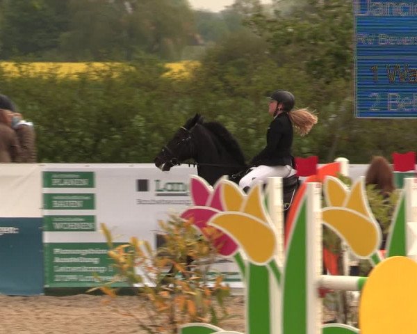 Reitturnier Langwedel - Hagen - Grinden 2019