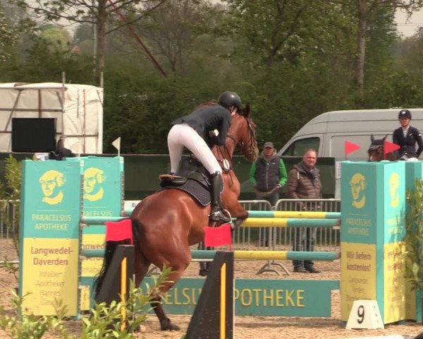 Reitturnier Langwedel - Hagen - Grinden 2019