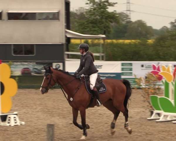 Reitturnier Langwedel - Hagen - Grinden 2019