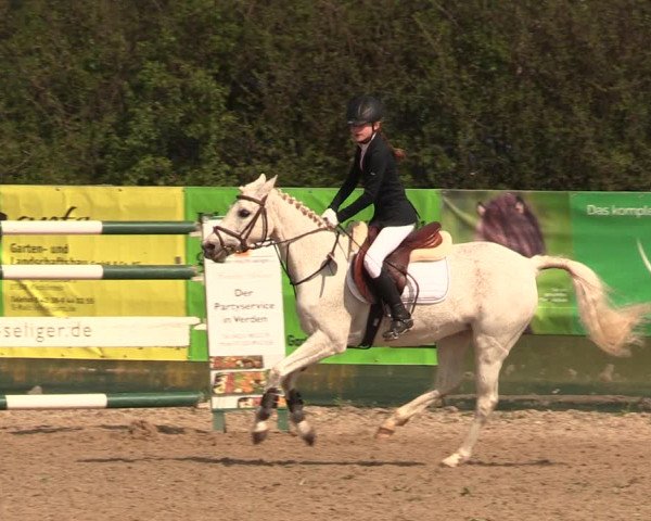 Reitturnier Langwedel - Hagen - Grinden 2019