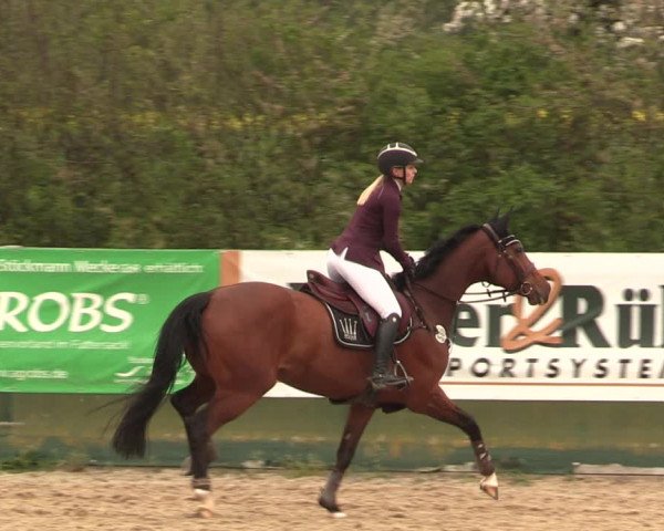 Reitturnier Langwedel - Hagen - Grinden 2019