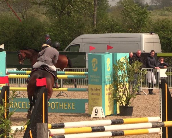 Reitturnier Langwedel - Hagen - Grinden 2019