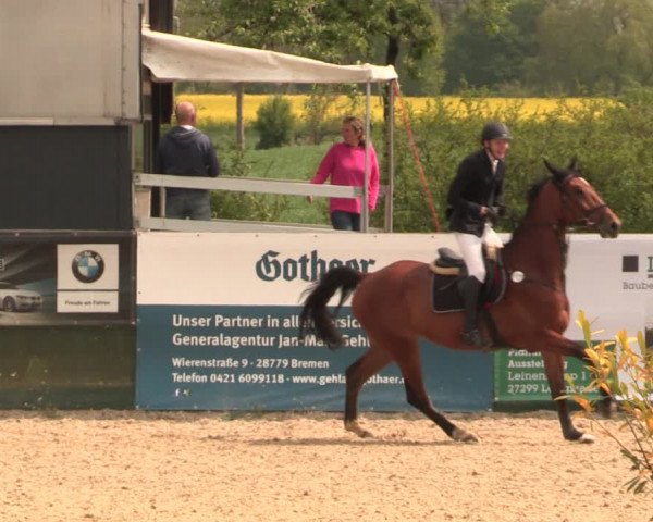 Reitturnier Langwedel - Hagen - Grinden 2019