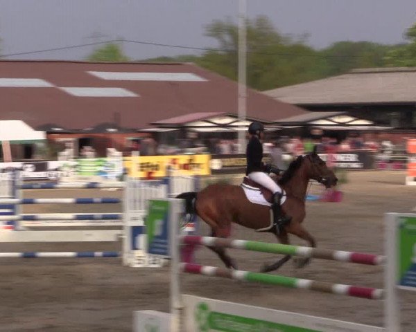 Reitturnier Havixbeck 2019