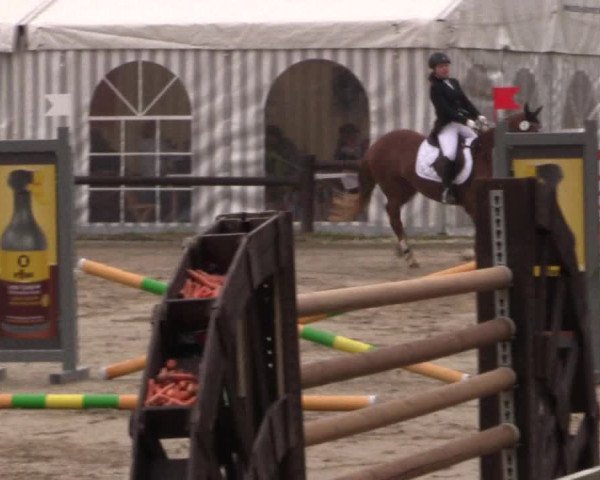 Reitturnier Havixbeck 2019